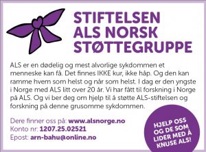stiftelsenalsnorskstottegruppe